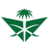 SAUDI ARABIAN AIRLINES logo